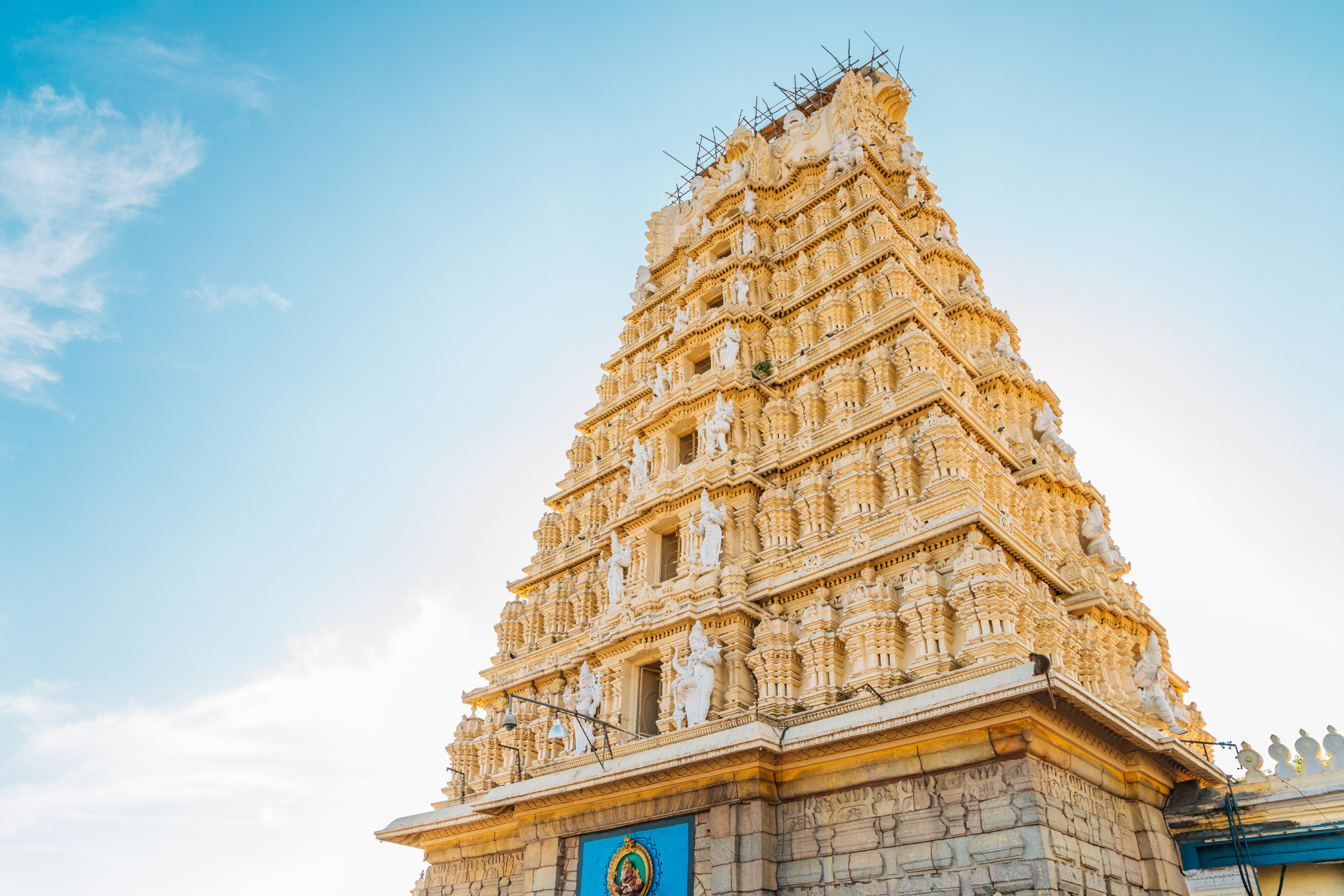 mysore (3).webp